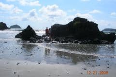 20061221-m020