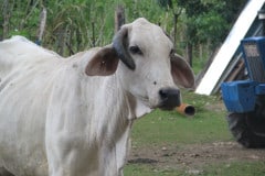 20061222-078
