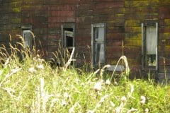 20120908131125