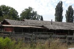 dscn9883