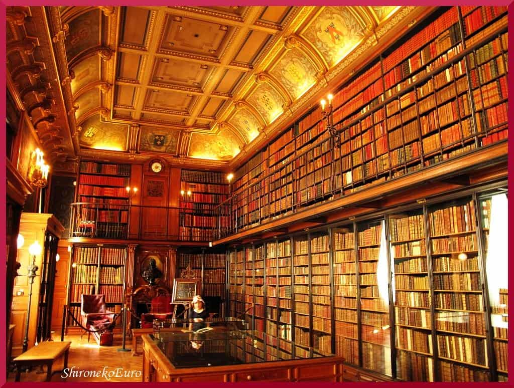 Library of knowledge