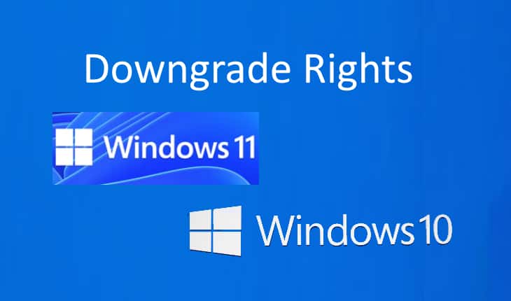 Windows 11 Downgrade Option